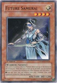 Future Samurai SDWS-EN014