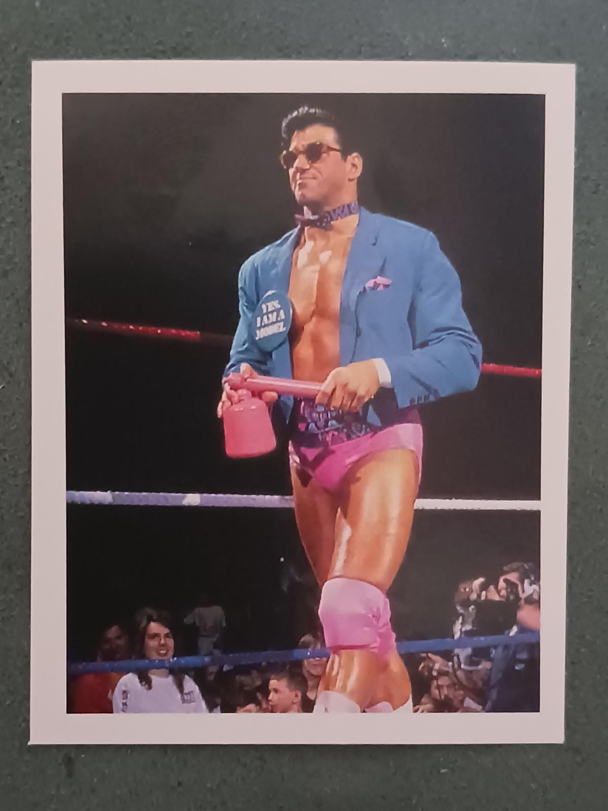 The Model #111 Wrestling Cards 1992 Merlin WWF Stickers