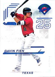 Gavin Fien
