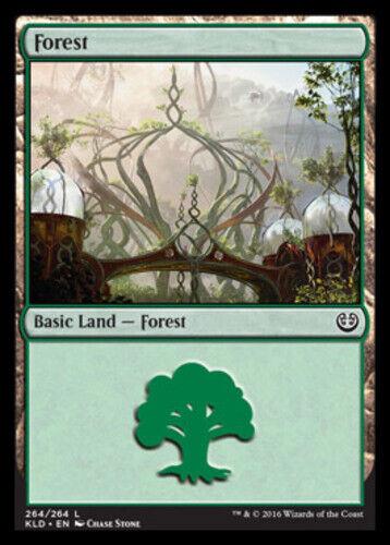 Forest #264 Magic Kaladesh