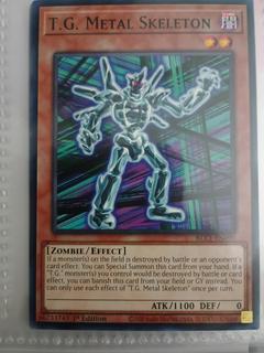T.G. Metal Skeleton BLC1-EN090