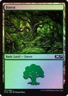 Forest