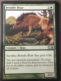 Brindle Boar