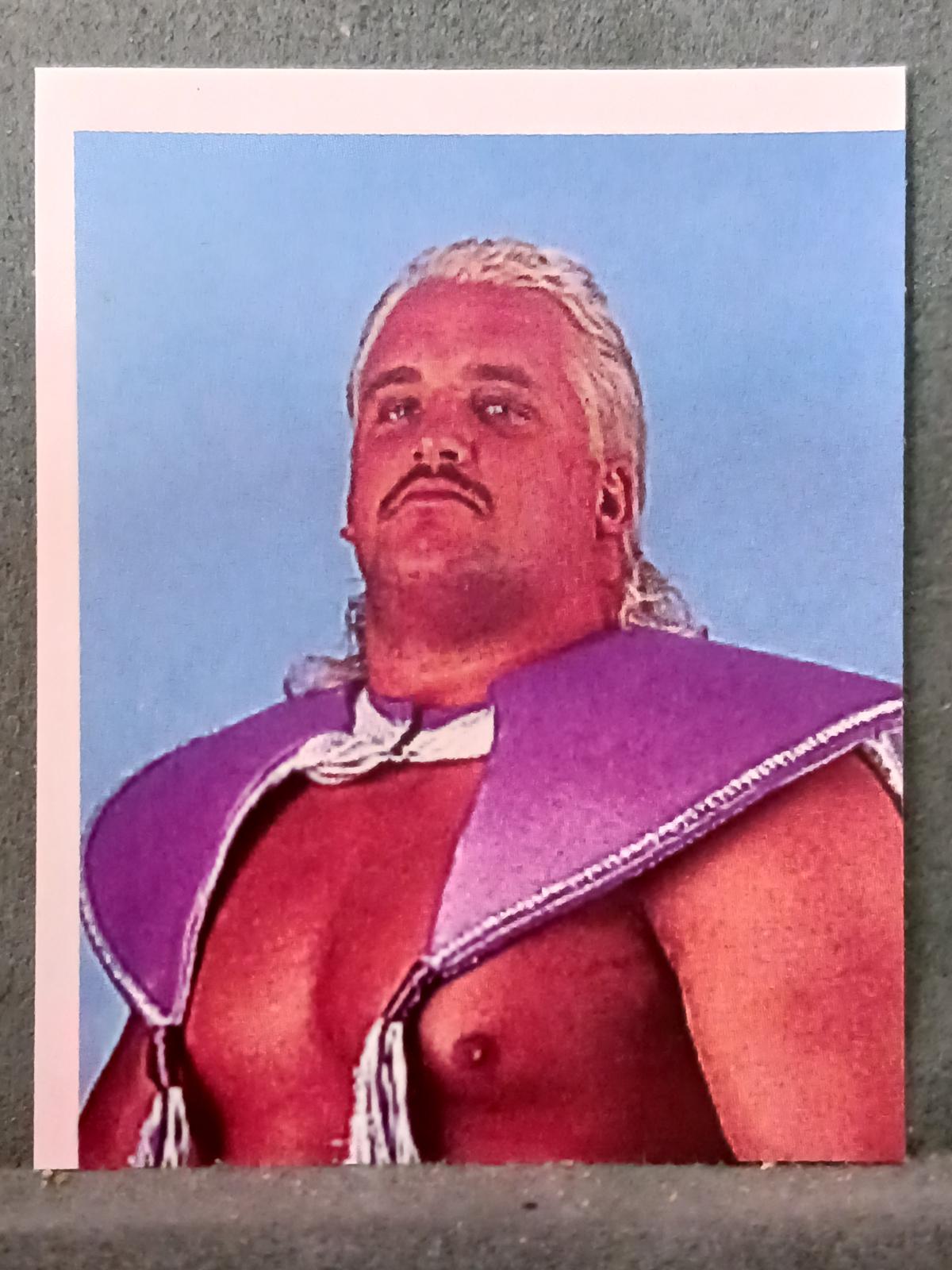 Beverly Brothers #113 Wrestling Cards 1992 Merlin WWF Stickers