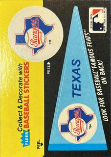 Texas Rangers Pennant