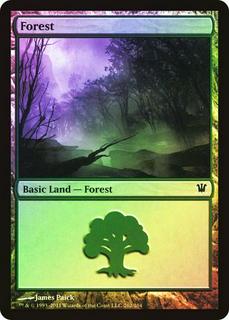 Forest