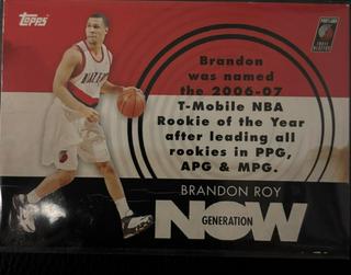 Brandon Roy