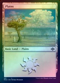Plains