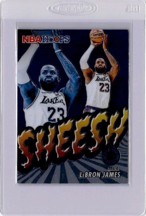 LeBron James #17