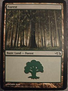 Forest