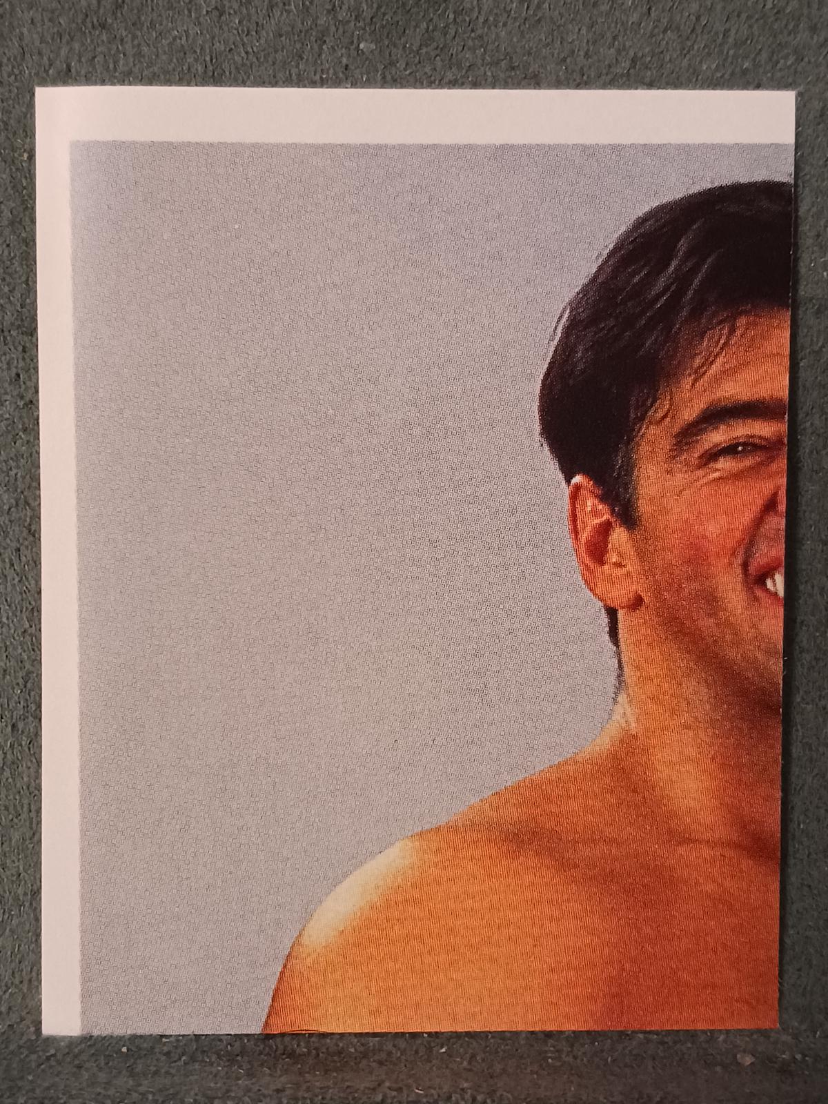 The Model #107 Wrestling Cards 1992 Merlin WWF Stickers