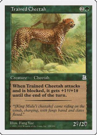 Trained Cheetah Magic Portal Three Kingdoms