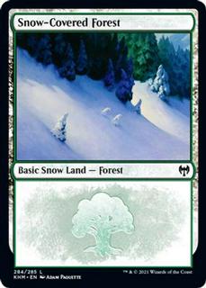 Snow-Covered Forest