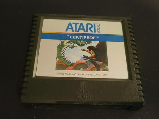 Centipede photo