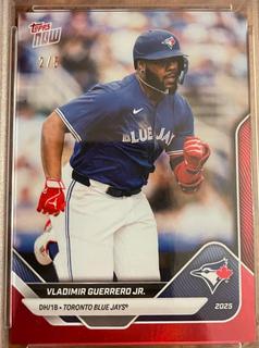 Vladimir Guerrero Jr.