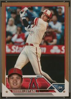Shohei Ohtani