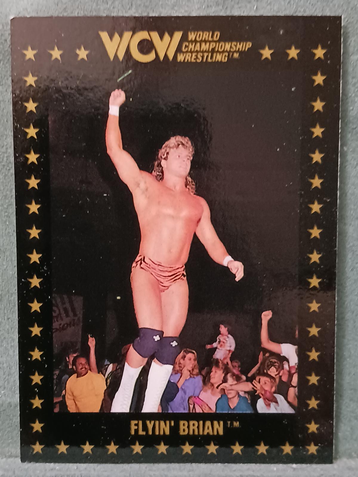 Flyin' Brian #103 Wrestling Cards 1991 Championship Marketing WCW