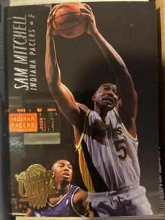 Sam Mitchell