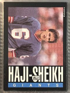 Ali Haji-Sheikh