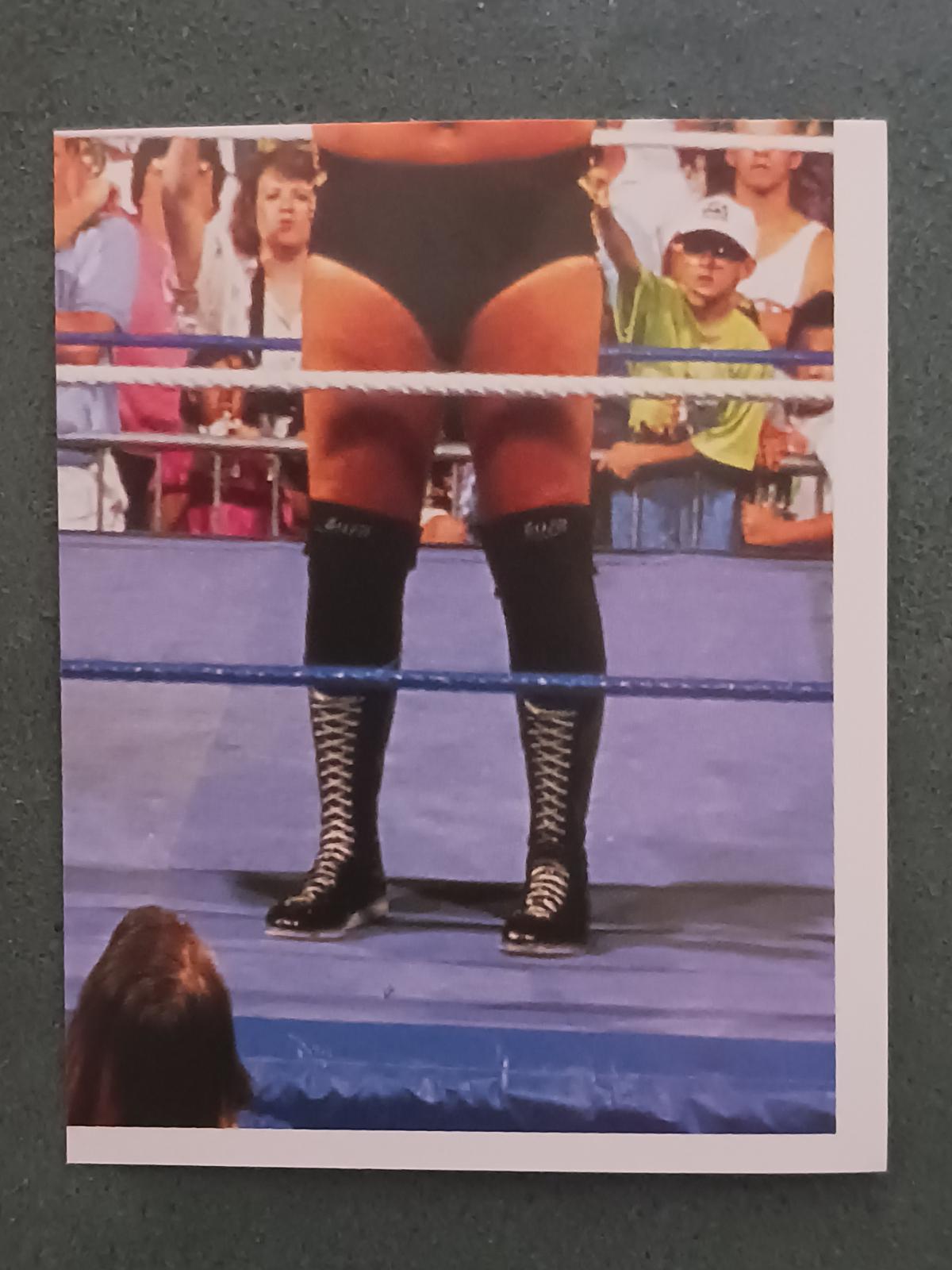 Money Inc. #31 Wrestling Cards 1992 Merlin WWF Stickers