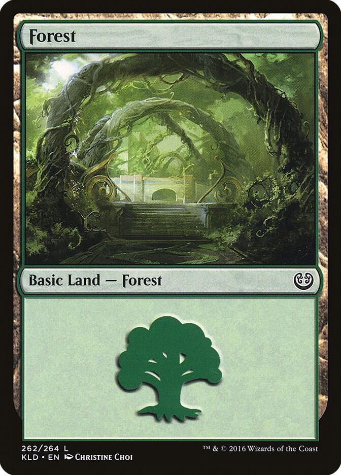 Forest #262 Magic Kaladesh