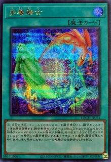 Heavy Polymerization LOCH-JP074