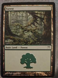 Forest
