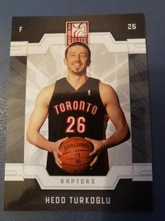 Hedo Turkoglu