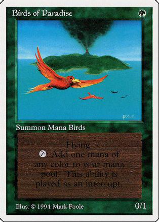 Birds of Paradise Magic Summer Edition