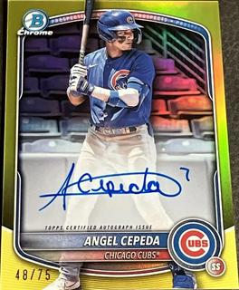 Angel Cepeda