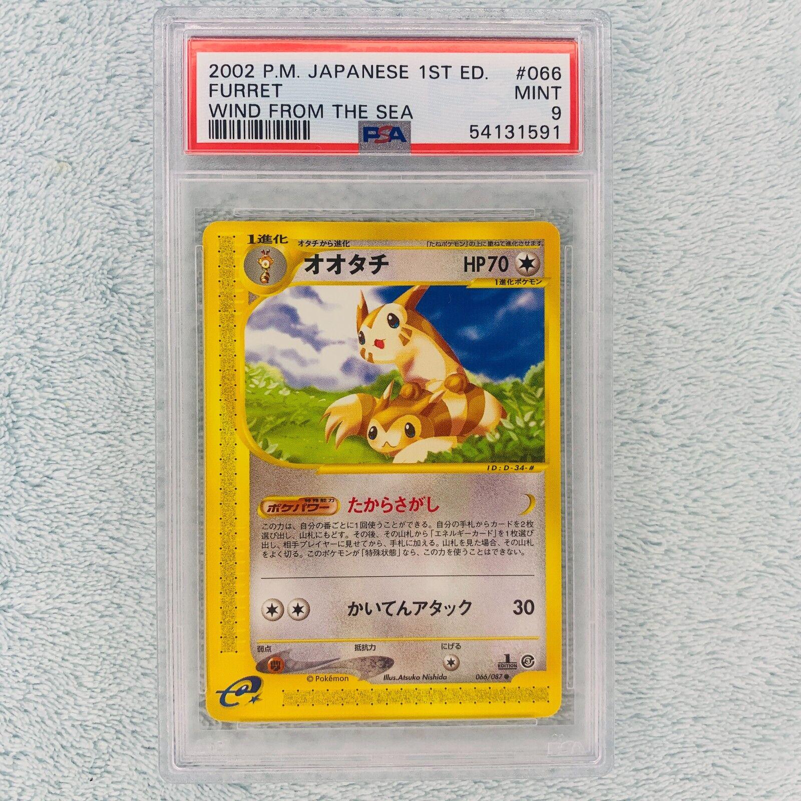 Furret #66 Pokemon Japanese Wind from the Sea