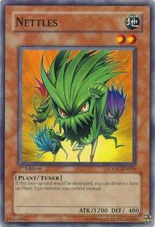 Nettles CSOC-EN024