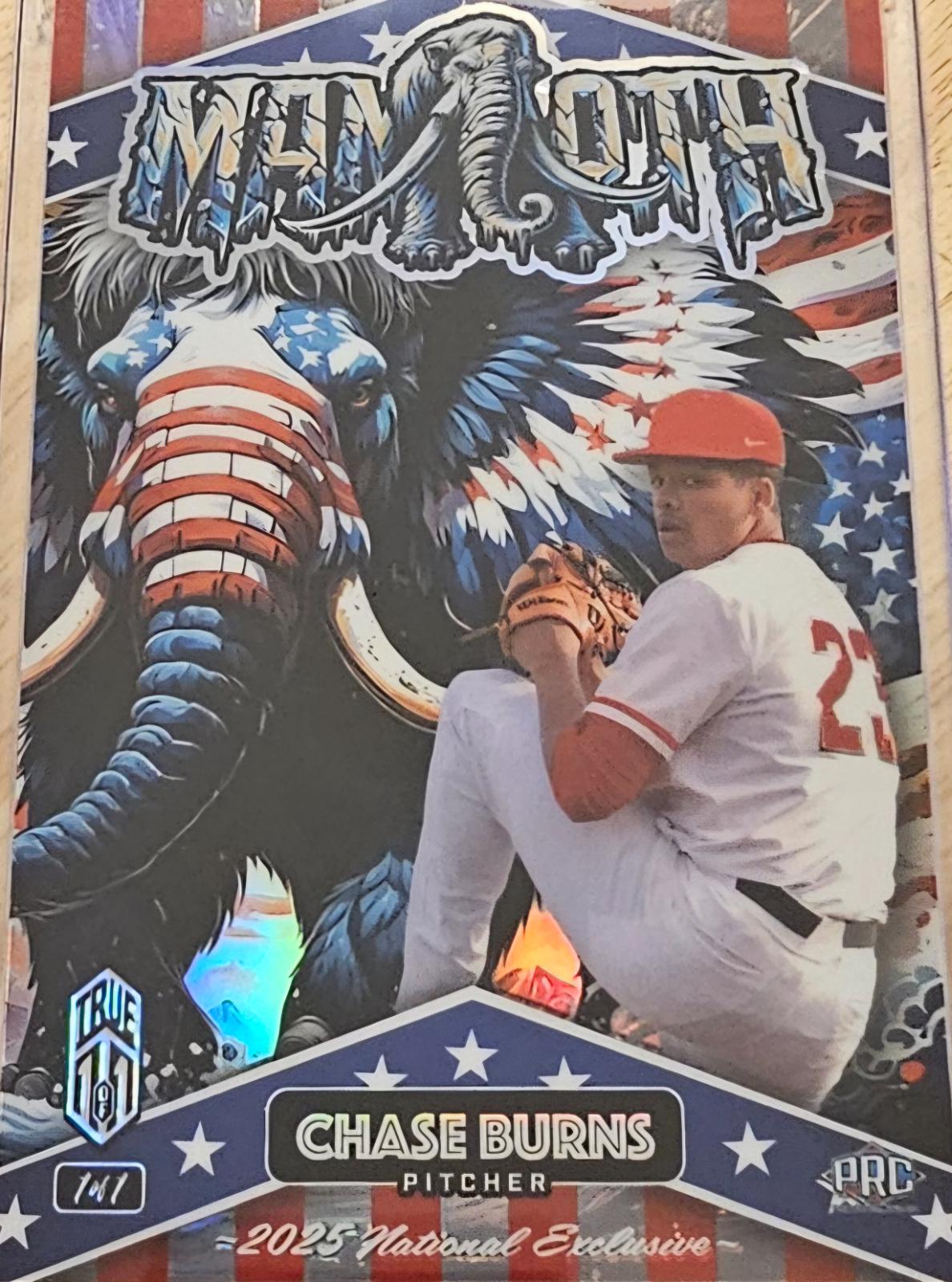 Chase Burns #DMMTA09-CB 2025 Wild Card Patriotic Mammoths Baseball