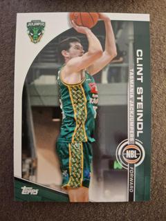 Clint Steindl