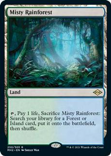 Misty Rainforest