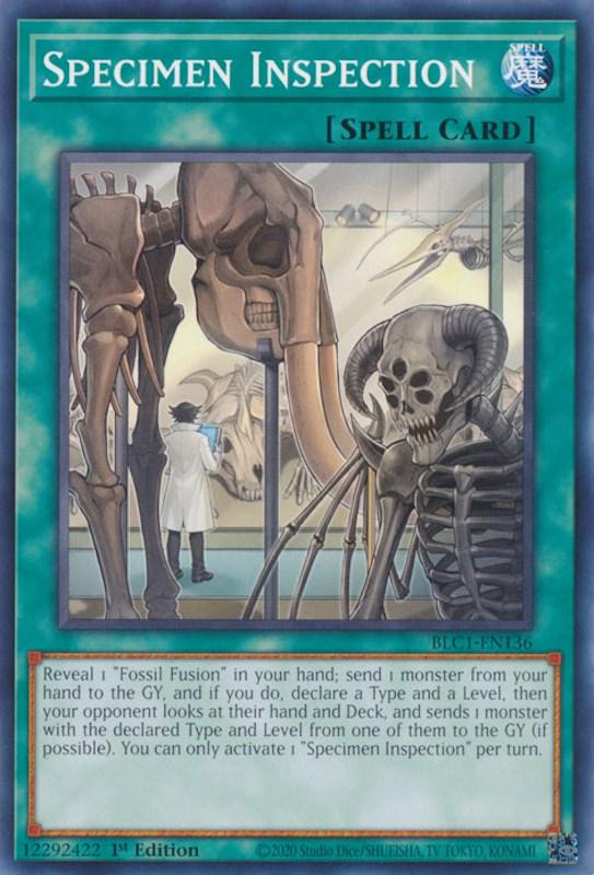Specimen Inspection BLC1-EN136 YuGiOh Battles of Legend: Chapter 1