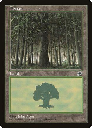 Forest Magic Portal