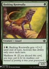 Basking Rootwalla Magic Mystery Booster