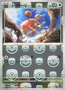 Doduo