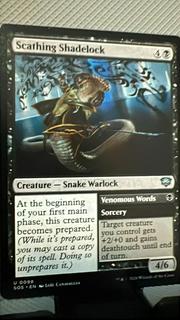 Scathing Shadelock]