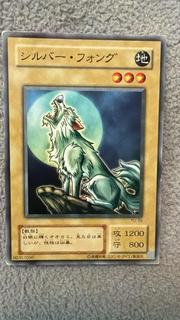 Silver Fang YU-39