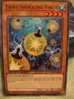 Tribe-Shocking Virus SGX3-ENF13