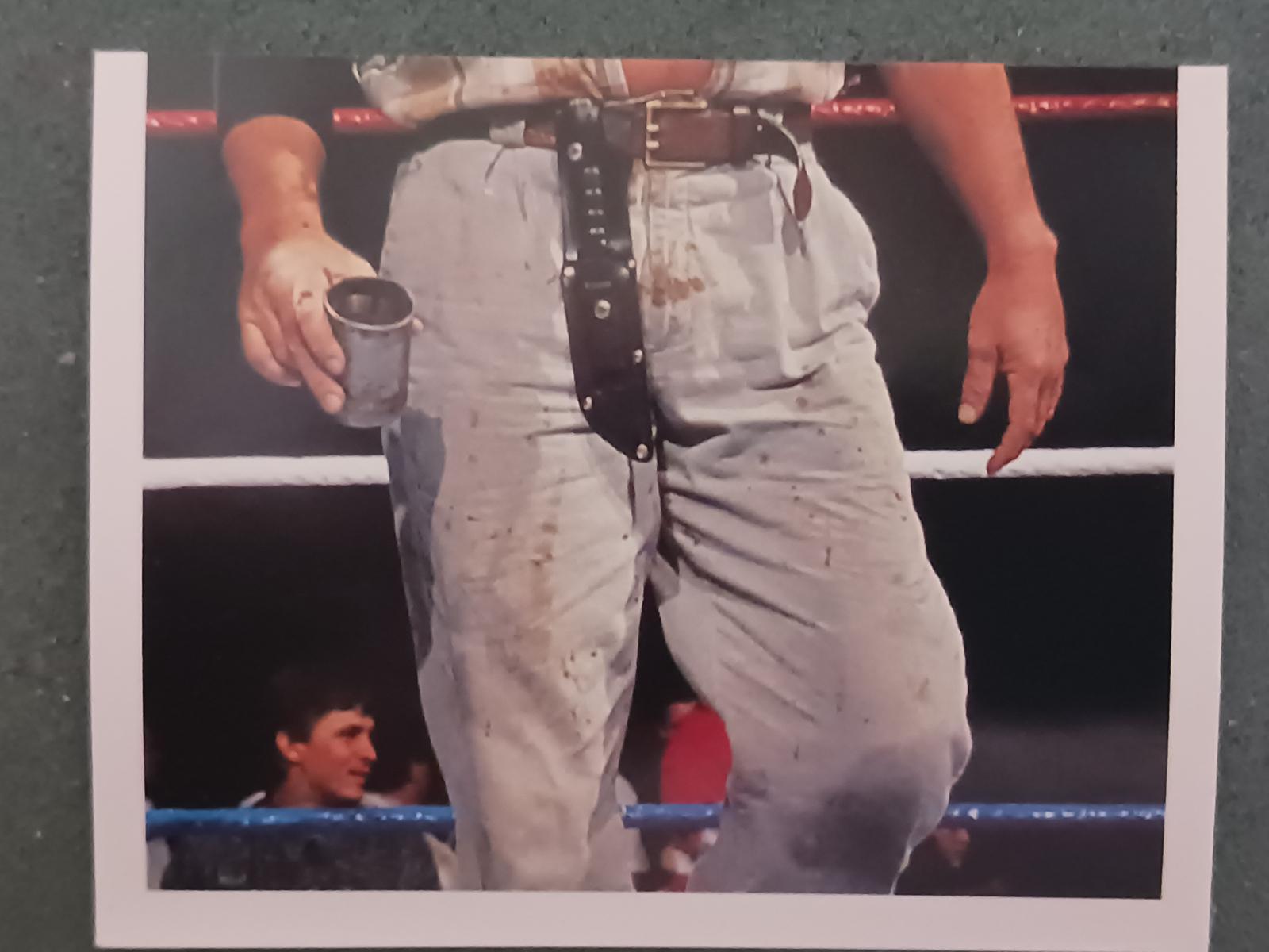 Skinner #101 Wrestling Cards 1992 Merlin WWF Stickers