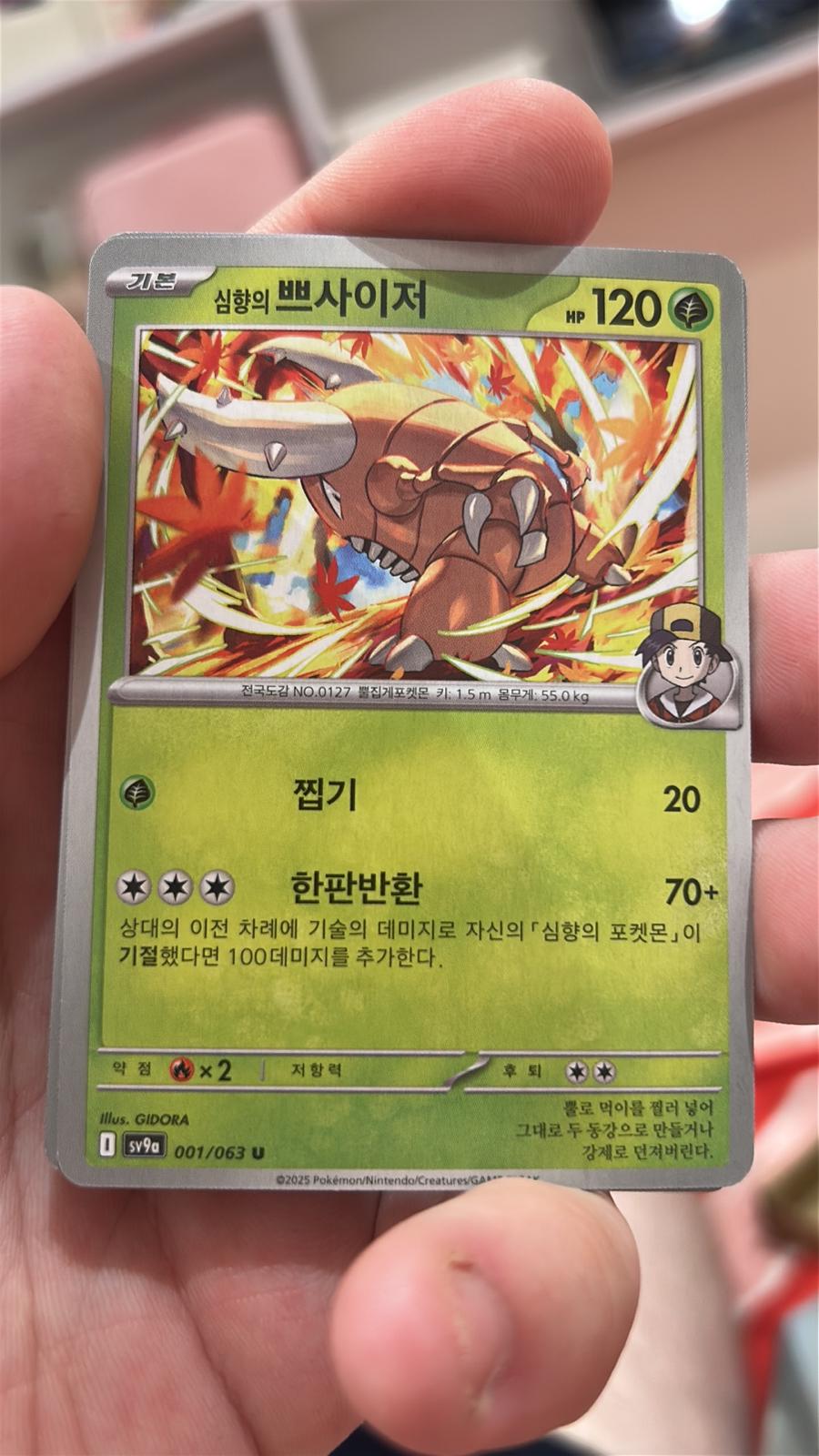 Korean Heat Wave Arena — Pokémon (Korean)