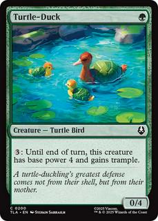 Turtle-Duck