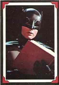 1966 A Lesson for Robin #5
