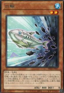 White Sardine PHNI-JP007