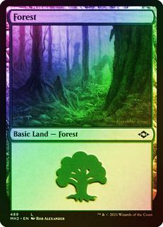 Forest
