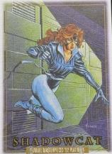 Shadowcat Canvas