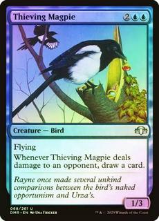 Thieving Magpie